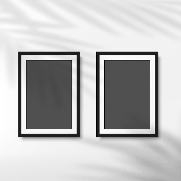 Black photo frame with palm leaves in white background. Vector.