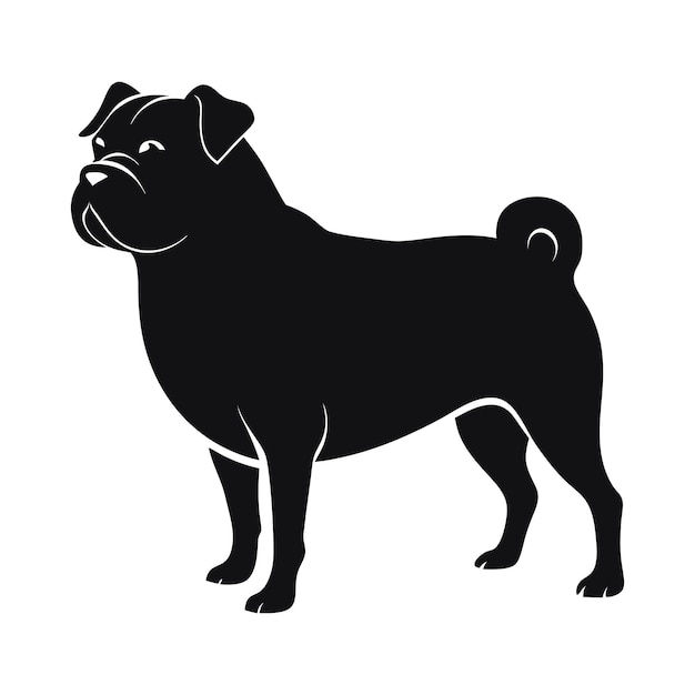 Vector a black pug dog with a black face and a white background