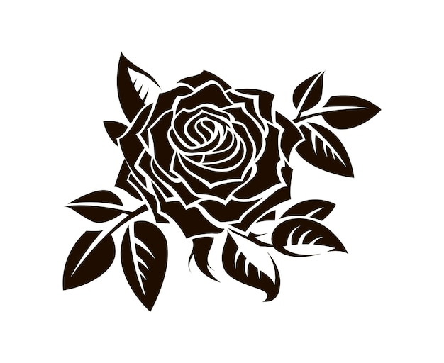 black rose image