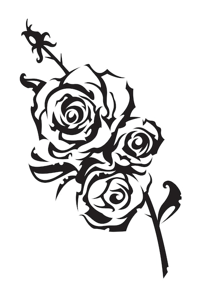 black roses on white background