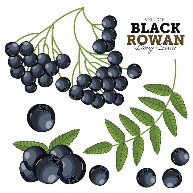 Black Rowan Set