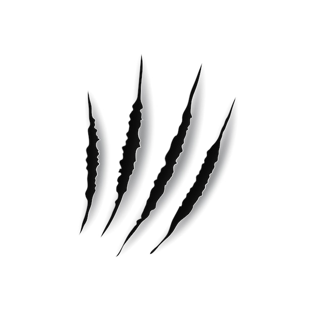 Black scratch scrape track from animal nails isolated monochrome icon Vector dark bloody claws animal cat tiger lion panthera dragon wolf scratches of paw shape four nails trace design element