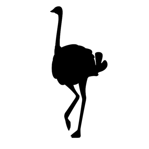 Black silhouette ÃÂÃÂÃÂÃÂÃÂÃÂÃÂÃÂute ostrich stay on one leg african flightless bird cartoon animal design flat vector illustration isolated on white background.