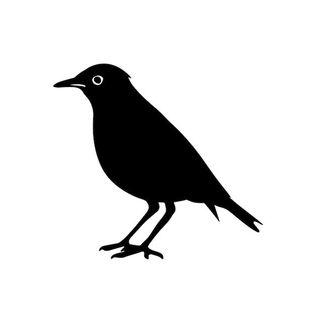 Black silhouette of a Birds side view isolated