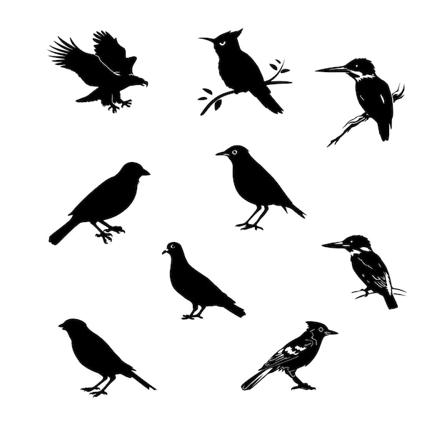 Black silhouette of a Birds