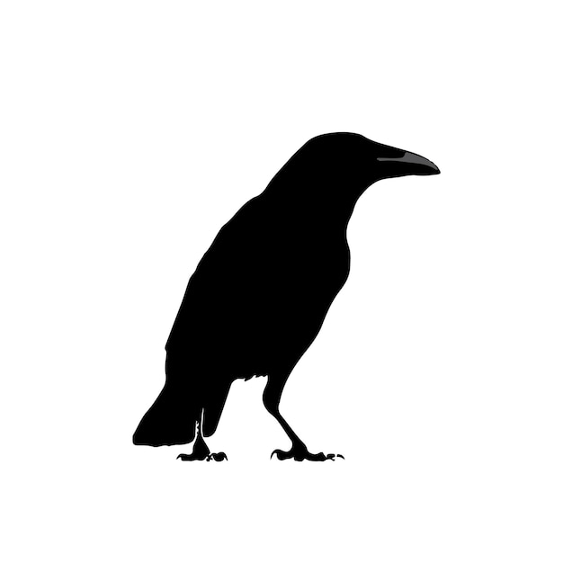 A black silhouette of a crow with the number 12 on it