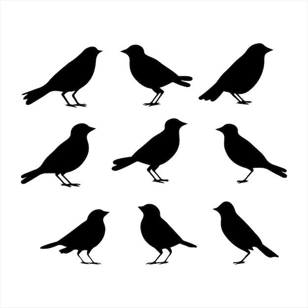 A black silhouette Finch bird set