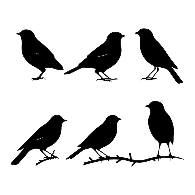 A black silhouette Finch bird set