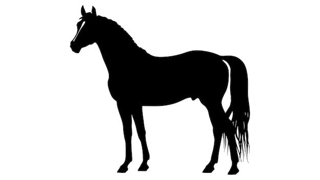 Black silhouette of horse Beautiful horse vector design rearing up horse Horses silhouette vector