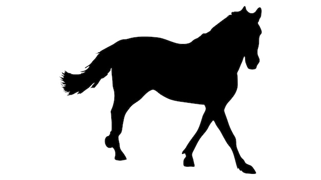 Black silhouette of horse Beautiful horse vector design rearing up horse Horses silhouette vector