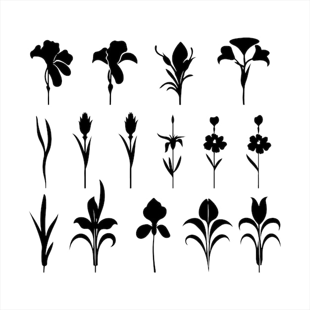 A black silhouette Iris flower set