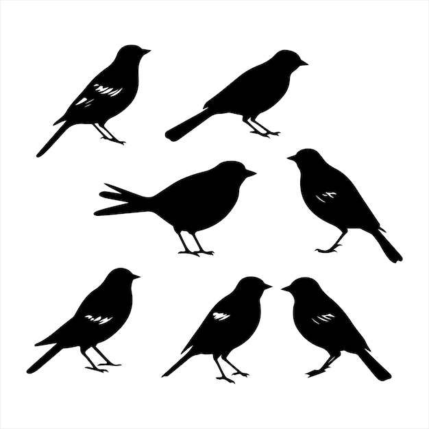 A black silhouette Jay bird set