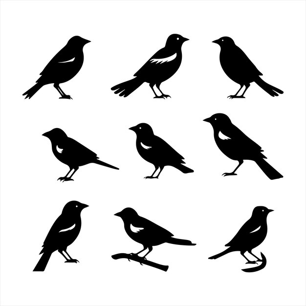 A black silhouette Jay bird set