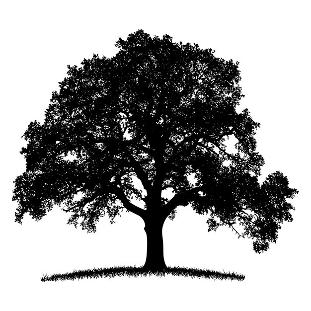 Vector black silhouette of a large tree with grass at the base