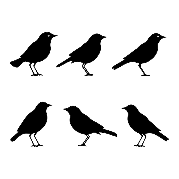 A black silhouette Lark bird set