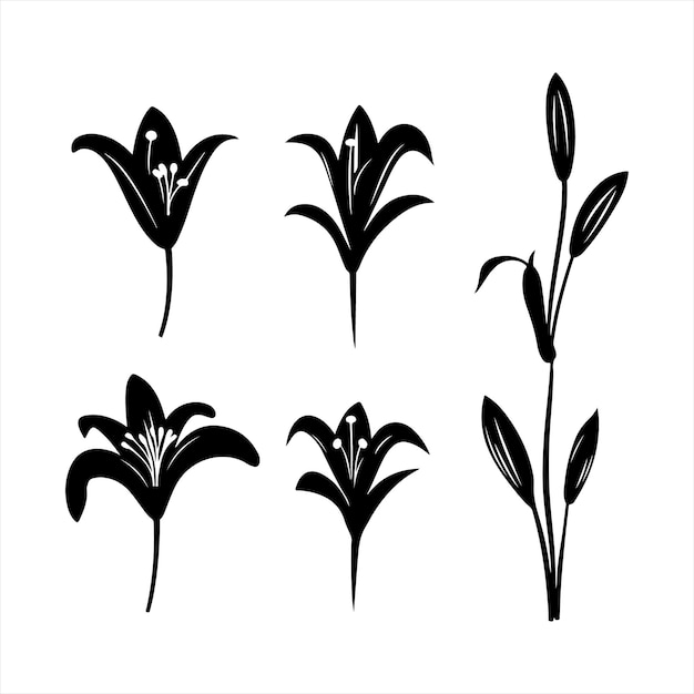 A black silhouette Lily flower set