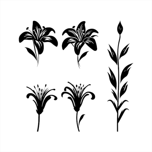 A black silhouette Lily flower set