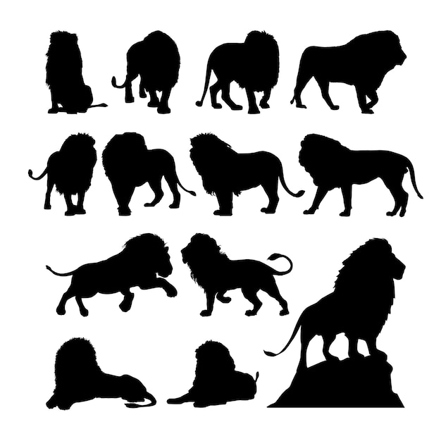 A black silhouette of a lion and a lion