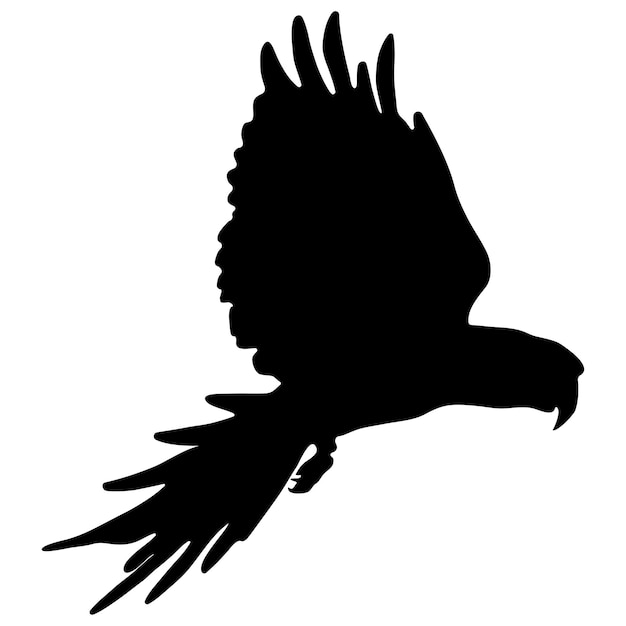 Black silhouette of a parrot on a white background