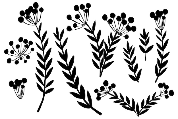 Black silhouette set of hand drawn tree branches with leaves botanical flowers floral hand drawn scandinavian style art design element flat vector illustration.