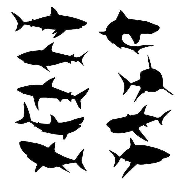 Black silhouette set of shark