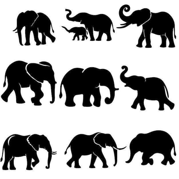 Vector black silhouettes of elephants set vector with white background