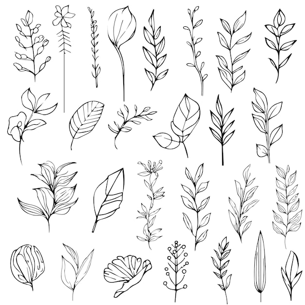 Black silhouettes of grass flowers and herbs Cute flower vector illustration in handdrawn style