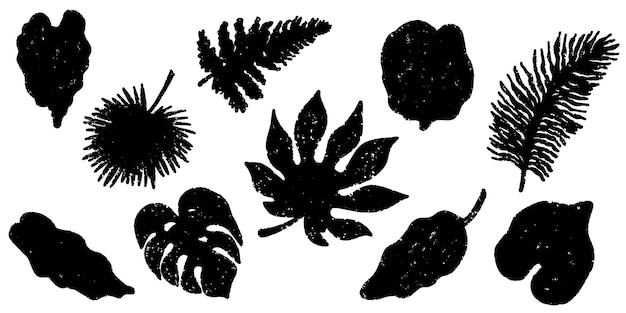 Black silhouettes of tropical leaves Grunge rough grainy texture Minimalism Vector set Exotic collection Elements for your design