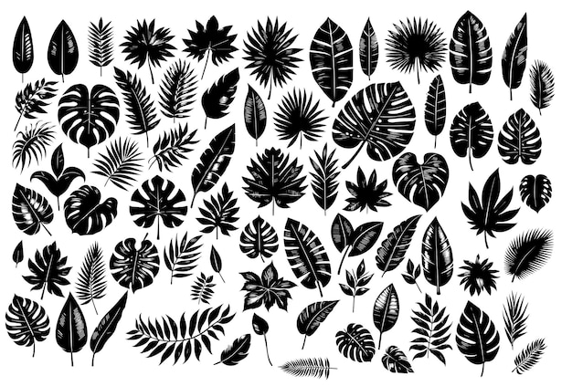 Black silhouettes of tropical palm leaves