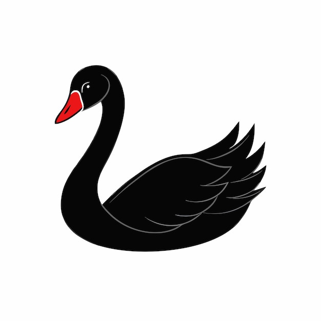 a black swan with a red beak is on a white background