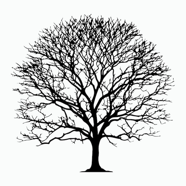 black Tree silhouette vector on white background