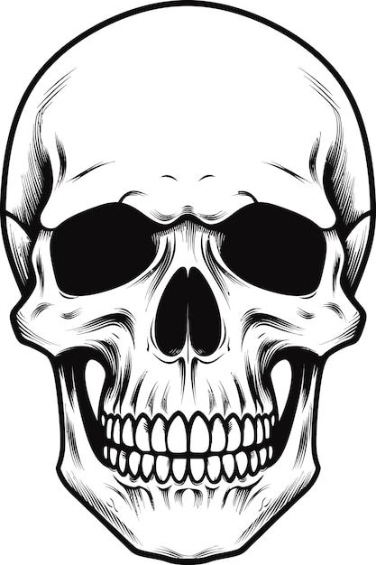 Vector a black vintage victorian style skull with white background