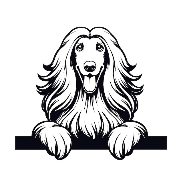 Black And White Afghan Hound dog peeking face Silhouette Vector