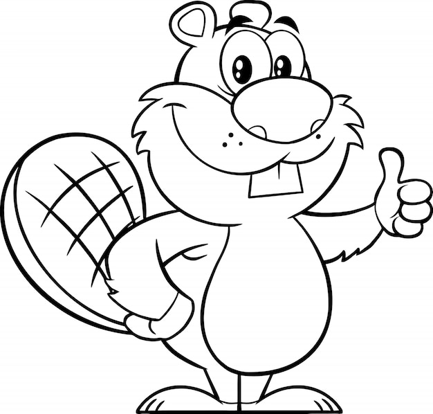 Black And White Beaver Cartoon Mascot Character Giving A Thumb Up. illustration