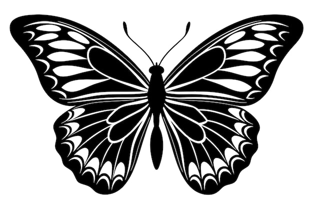 Vector a black and white butterfly with a black outline of a butterfly