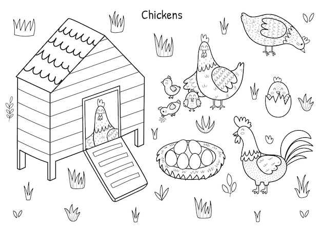 Black and white chicken set with a cute hen rooster chicks and eggs Chicken coop with a birds