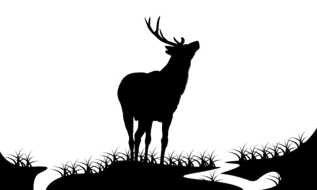 Black and white deer. animal wild, horn and nature wildlife, mammal reindeer, horned antler