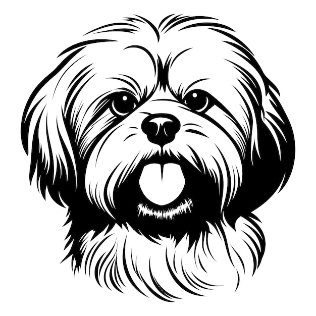 A black and white detailed illustration of a shih tzu dogs head