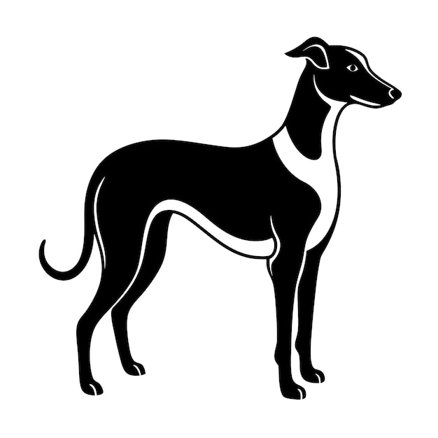 Vector a black and white dog with a white collar and a black and white dog on a white background