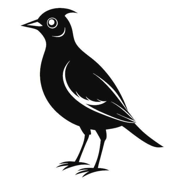 A black and white drawing bird silhouette