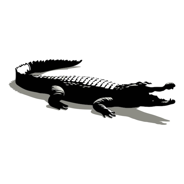 Vector a black and white drawing of a crocodile with the word alligator on it