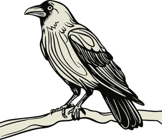 Black and White Drawing of a Crow Perched on a Branch