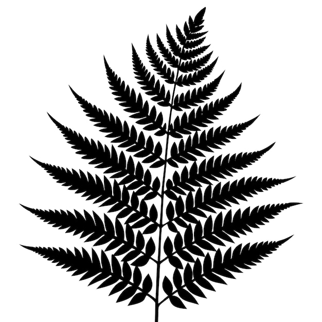 Vector a black and white drawing of a fern with a leaf on it