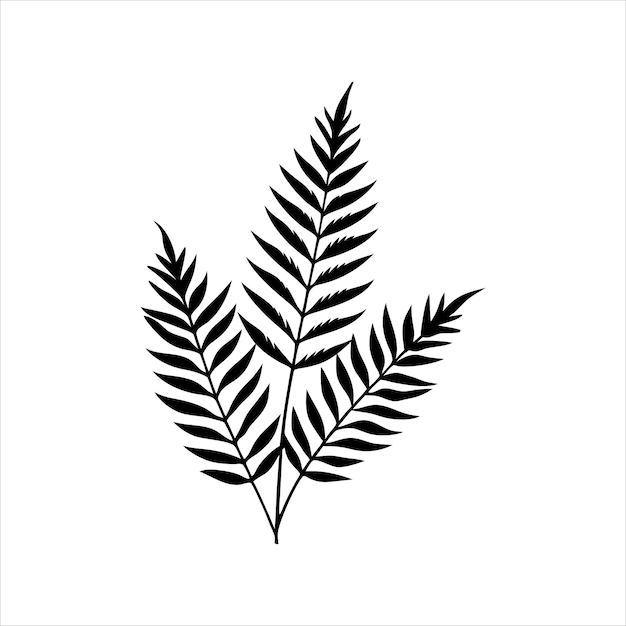 a black and white drawing of a fern with leaves