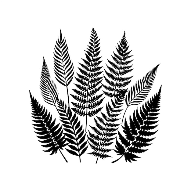 a black and white drawing of a fern with leaves