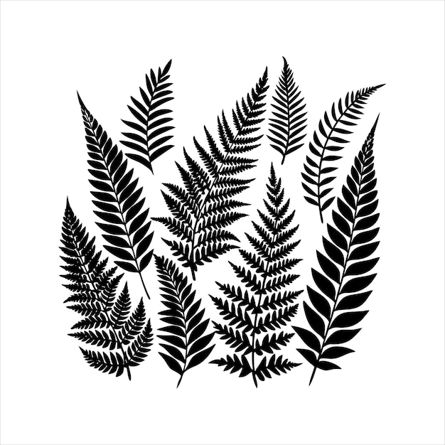 a black and white drawing of a fern with leaves