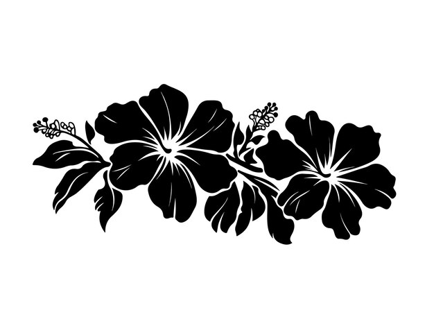 Vector a black and white drawing of a flower with the word hibiscus on it