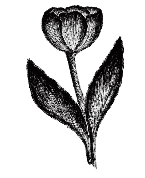 A black and white drawing of a flower