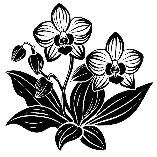 a black and white drawing of flowers silhouette vector illustration