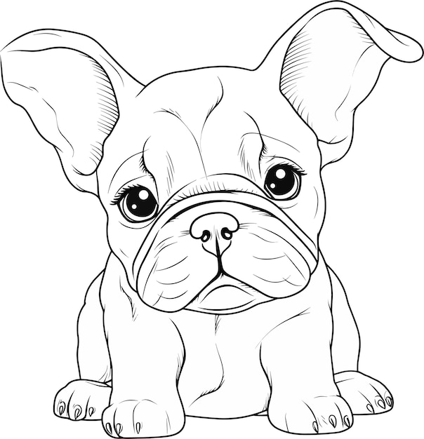 A black and white drawing of a french bulldog.